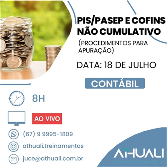 PIS/Pasep e Cofins não Cumulativo (Procedimentos para Apuração)