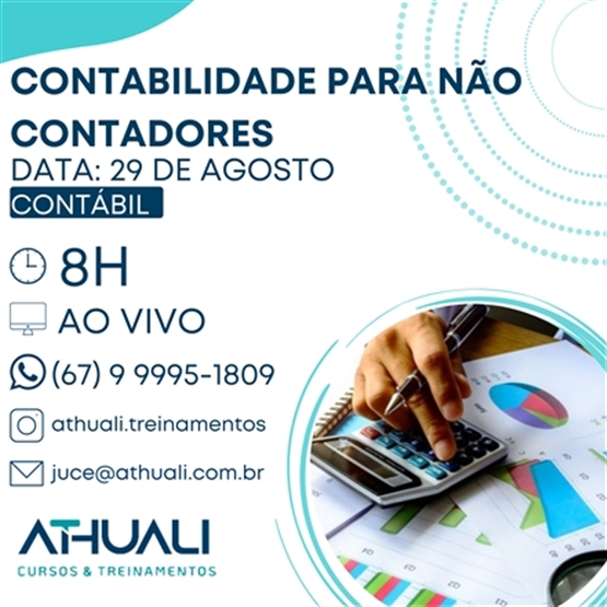 Contabilidade para Não Contadores (Básico de Contabilidade)